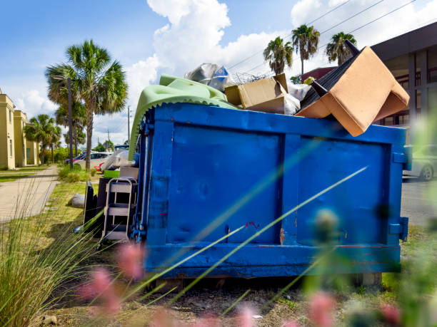 Best Professional Junk Removal  in Mount Clemens, MI